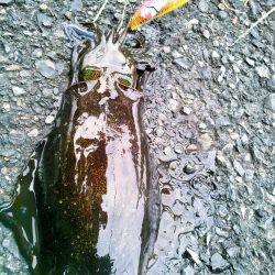 第２のホームでなんとか～♪