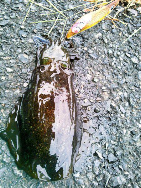 第２のホームでなんとか～♪