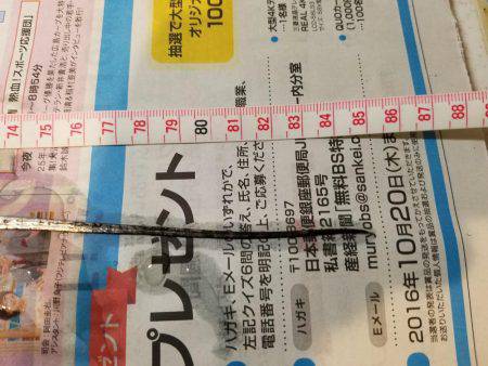 台風後、期待するが撃沈