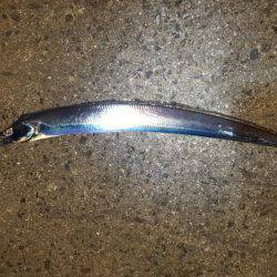 ワインドぶん投げた結果、、、