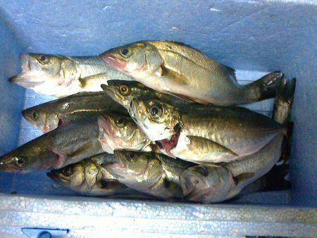 午後からセイゴちゃんと♪