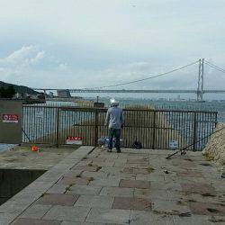 岩屋漁港で鳥山！ナブラ撃ち成功しました。