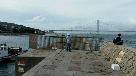 岩屋漁港で鳥山！ナブラ撃ち成功しました。