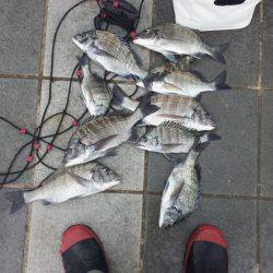 １ヶ月ぶりの釣行