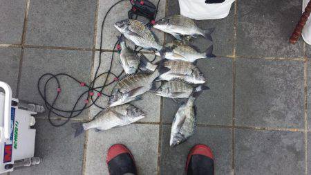 １ヶ月ぶりの釣行