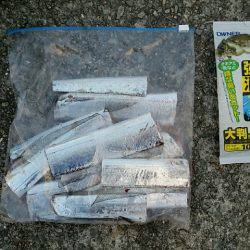 大蔵海岸朝マズメ。タチウオ堅調でした。