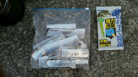 大蔵海岸朝マズメ。タチウオ堅調でした。