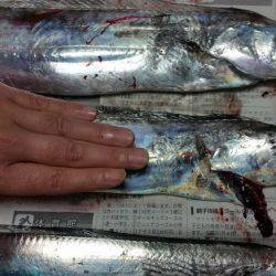 ﾃﾝﾔ引き釣り