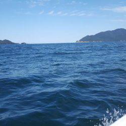 久々のマイボートエギング!!