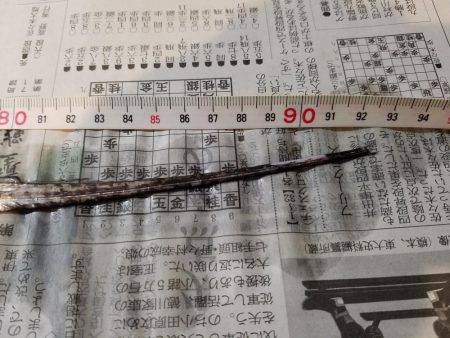 もう少しでメーター…(-\\\”\\\”-;)