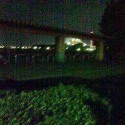 初めてのエギング