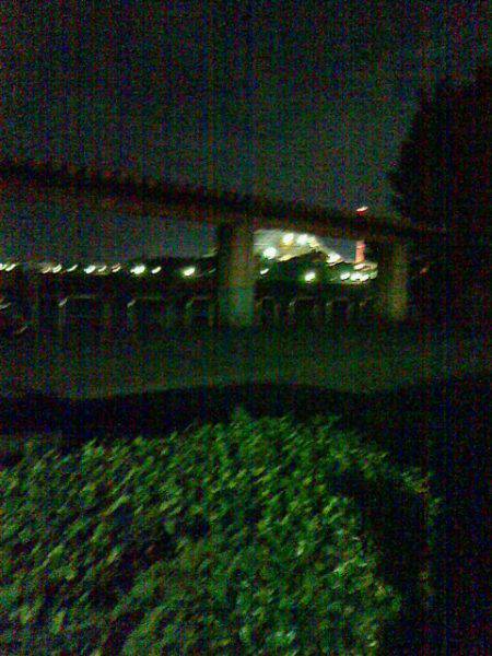 初めてのエギング