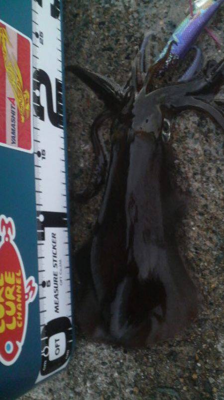 なめてました。