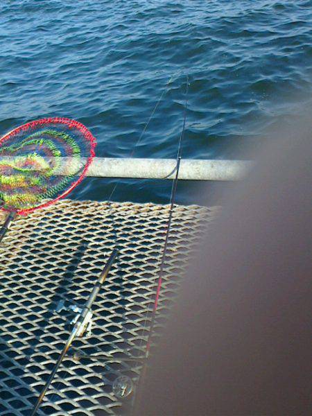 しぶーいセイゴ釣り