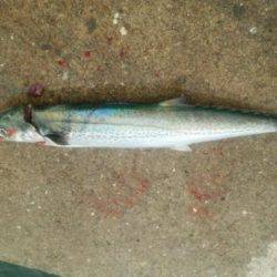 もう帰ろうかと思ったら