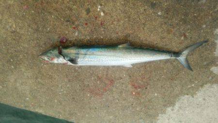 もう帰ろうかと思ったら