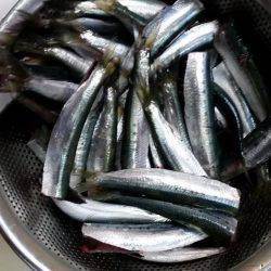 フカセでグレ！