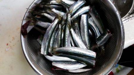 フカセでグレ！