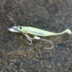 兵庫突堤、フラッシュJ初使用でタチウオ2匹。