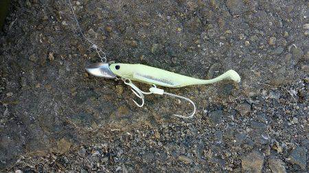 兵庫突堤、フラッシュJ初使用でタチウオ2匹。