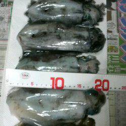 コウちゃん目つき悪