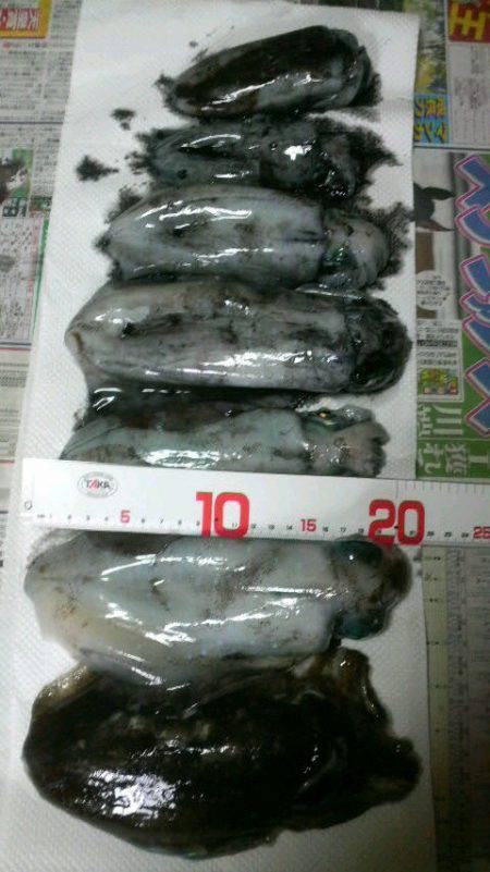 コウちゃん目つき悪