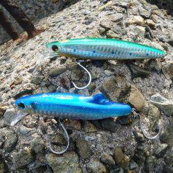 サゴシ狙いに・・・