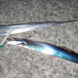 ワインドでタチウオ９２㎝も、テンヤでは不調