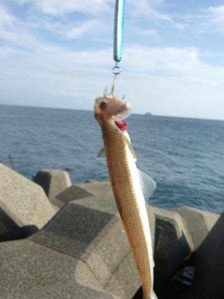 ルアーチャレンジ