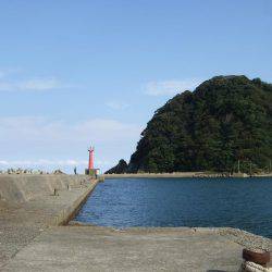 アジ釣りそこそこでもチヌが来た