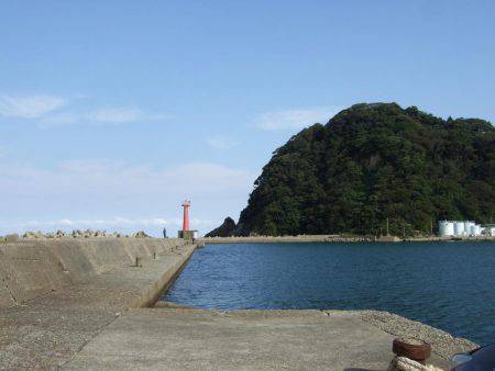 アジ釣りそこそこでもチヌが来た