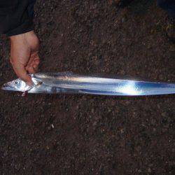 タッチー久しぶり！