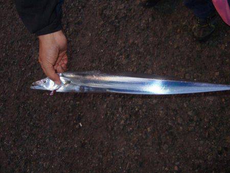 タッチー久しぶり！