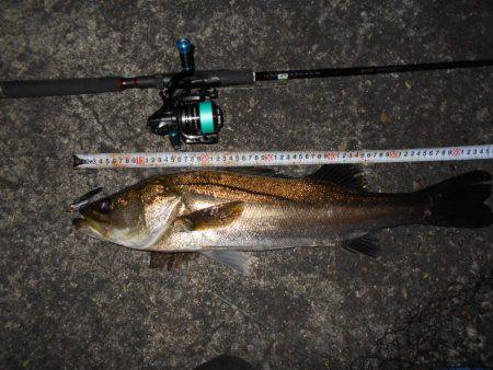 メタルバイブでシーバス♪