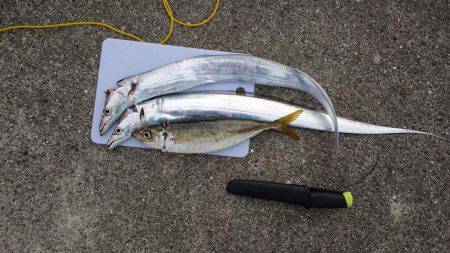 戻ってきたかな？