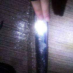 太刀魚にタッチー!