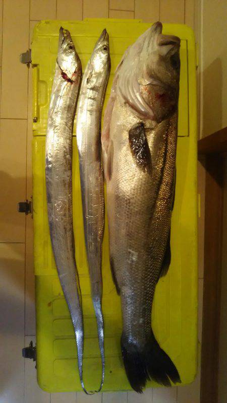 岩屋～おのころ裏