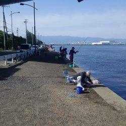 リアルタイム釣果