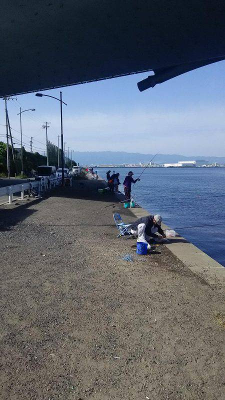 リアルタイム釣果