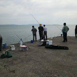 お昼休みエギング