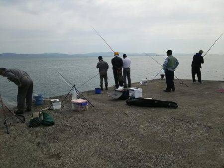 お昼休みエギング