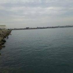 まだいけるお昼休みエギング