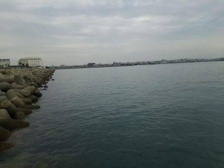 まだいけるお昼休みエギング