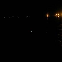 堺 石津タチウオ