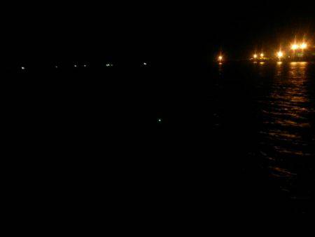 堺 石津タチウオ