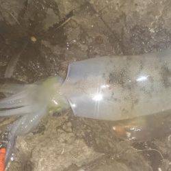 久しぶりの土曜日休み