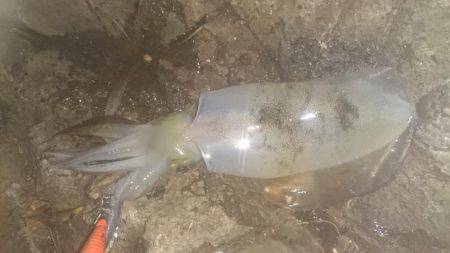 久しぶりの土曜日休み