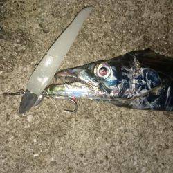 ちょっと刀狩り