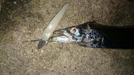 ちょっと刀狩り