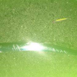 ロマン砲発射準備!